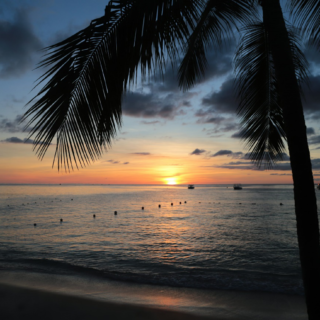 Sunset over a Barbados beach with palm trees silhouetted against the sky.