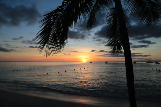 Sunset over a Barbados beach with palm trees silhouetted against the sky.