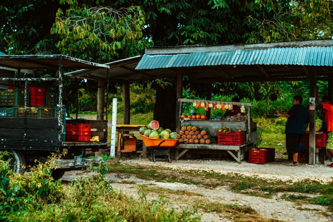 Local roadside fruit stand in Belize with a variety of tropical fruits